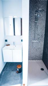 uma casa de banho com um chuveiro, um lavatório branco e um chuveiro em Les gîtes de Bouxhmont em Herve
