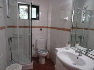 een badkamer met een douche, een toilet en een wastafel bij Barbati Beach Apartments in Barbati