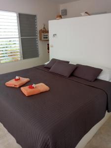 1 cama grande con 2 almohadas de color naranja en Domaine Vista Linda La casita del Loma Vista Mar, en Río San Juan