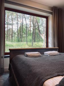 ein Schlafzimmer mit einem Bett und einem großen Fenster in der Unterkunft Roze Guest Houses Sklandas in Bernāti