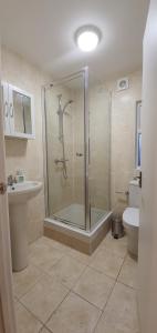 a bathroom with a shower and a sink and a toilet at Grace Apartments - Living Stone 2 in Ashford
