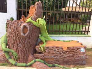 un lagarto verde sentado en la parte superior de un tronco de árbol en Cozy Cottage Posada Turistica en San Andrés