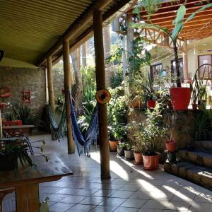 a patio with a hammock and potted plants at Joaquina 433 - Pousada Floripa in Florianópolis