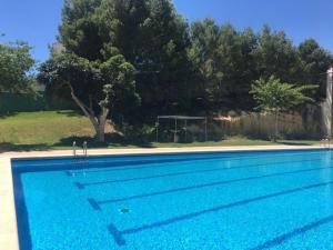 una gran piscina azul con una pelota de fútbol en Lily’s Casa, en Benijófar