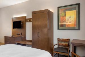 a bedroom with a bed and a desk and a cabinet at Holiday Inn Express Branson- Green Mountain Drive by IHG in Branson +58 photos