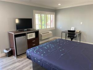 a bedroom with a bed and a tv and a desk at Regency Motel in Brea
