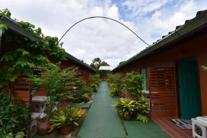 un chemin de jardin entre deux bâtiments avec des plantes dans l'établissement Mukda Guesthouse, à Trat