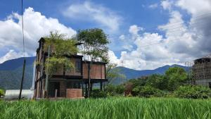 a building in a field of tall grass at 缽割貓點點 青旅 DianDian hostel in Puli