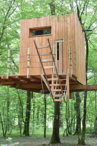 ein Baumhaus mitten im Wald in der Unterkunft Refuge ESPACE FOULETOT in Mont-sous-Vaudrey