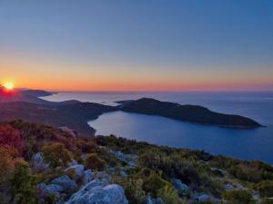 Gallery image of Olive garden apartment in Molunat