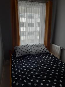 a bed with polka dot sheets in front of a window at Reda Aqua Sfera in Reda
