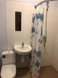 łazienka z toaletą i umywalką w obiekcie SIA Cikstonis w Rydze