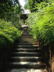 a set of stairs leading up to a bench at Gaze Studio: Modern Spacious Jungle Stay in Pantai Cenang