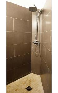 a shower with a shower head in a bathroom at Appartement REVE ENSABLE, classé 3 étoiles, vue mer et montagne, mail de Rodrigues, Ermitage-Les-Bains, 6 personnes in Filaos