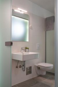 a bathroom with a sink and a toilet and a mirror at Moderno 3 Casa Vecchia in Peroj