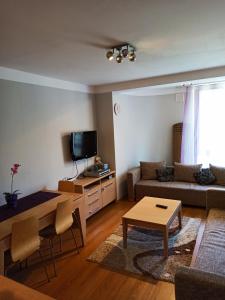 - un salon avec un canapé et une table dans l'établissement APARTHOTEL KRYNICA, à Krynica-Zdrój
