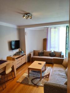 - un salon avec un canapé et une table dans l'établissement APARTHOTEL KRYNICA, à Krynica-Zdrój
