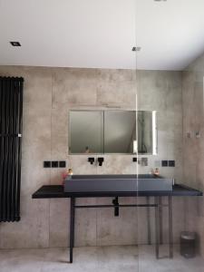 uma casa de banho com um lavatório e um espelho em Villa Bertholini em Bad Ischl