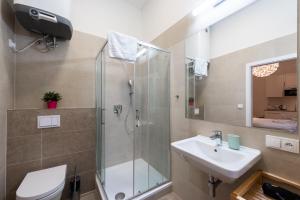 ein Bad mit einer Dusche, einem WC und einem Waschbecken in der Unterkunft Residence Tesnov Apartment in Prag