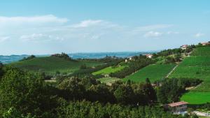 una vista de un viñedo en una colina con árboles en Locanda Stardé, en Neive