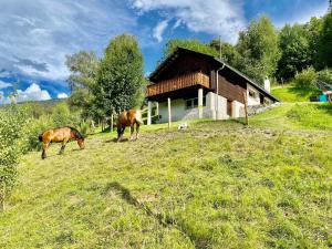 Binatang di chalet atau berdekatan