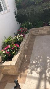 Zahrada ubytování Apartman Diana