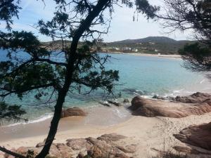 Φυσικό τοπίο κοντά σε αυτό το διαμέρισμα
