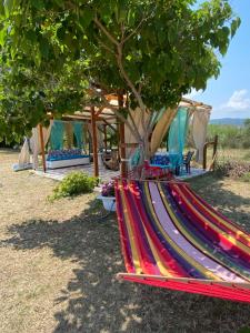 a colorful hammock under a tree next to a tent at Seafront Oasis Beach Houses in Ierissos