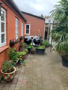 a courtyard with potted plants and a building at Lohalshygge in Tranekær