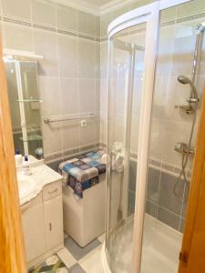 La salle de bains est pourvue d'une douche, de toilettes et d'un lavabo. dans l'établissement Fured Apartments, à Balatonfüred