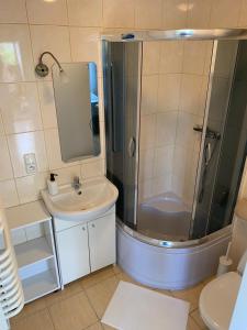 a bathroom with a shower and a sink and a toilet at Mazury Apartament in Ostróda