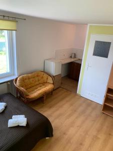 a living room with a couch and a chair at Mazury Apartament in Ostróda