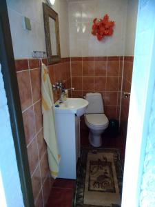 a small bathroom with a toilet and a sink at Ubytovanie u Vlasty in Štrba