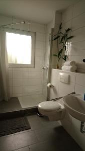 La salle de bains est pourvue de toilettes, d'un lavabo et d'une douche. dans l'établissement Melia, à Hamm