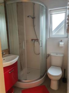 a bathroom with a shower and a toilet and a sink at Los Reyes II - klimatyzowane pokoje in Krynica Morska