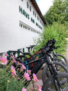 Gallery image of Hotel Haus am Waldrand in Flims +21 photos