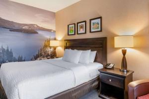 Cama o camas de una habitación en Clarion Pointe Medford