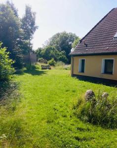 a grassy yard next to a house and a building at Piraten Oase in Tribohm
