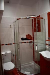 a bathroom with a shower with a toilet and a sink at Minoa Hotel in Naousa