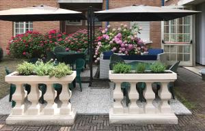 Zahrada ubytování Park Hotel
