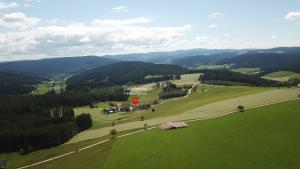 eine Luftansicht auf ein grünes Feld mit Bergen in der Unterkunft Café-Pension Feldbergblick in Titisee-Neustadt
