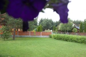 Fotografie z fotogalerie ubytování Apartamenty Julia v destinaci Szteklin