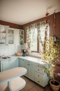 Fotografie z fotogalerie ubytování Apartments Ivana v destinaci Dramalj