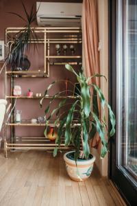Fotografie z fotogalerie ubytování Apartments Ivana v destinaci Dramalj