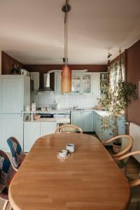 Kuchyň nebo kuchyňský kout v ubytování Apartments Ivana