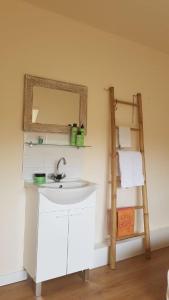 a bathroom with a sink and a mirror and a ladder at Bed & Breakfast de Echo in Muiderberg