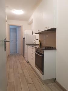 Kuchyň nebo kuchyňský kout v ubytování Bellinzona Rooms + 10 fotografií