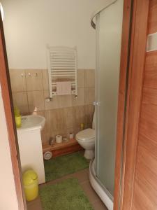 a small bathroom with a toilet and a sink at Noclegi pod Gąską in Olecko