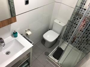 a bathroom with a toilet and a sink and a shower at Apartamentos casa Tia Antonia in Málaga