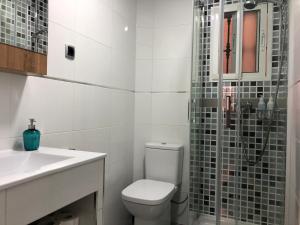 a bathroom with a toilet and a sink and a shower at Apartamentos casa Tia Antonia in Málaga